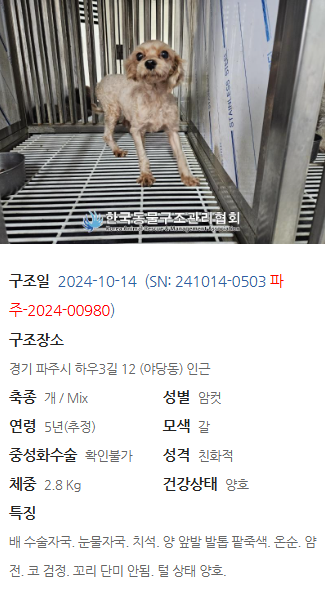 73ae4560adb3f.png