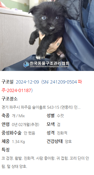 94961ff31fc9e.png