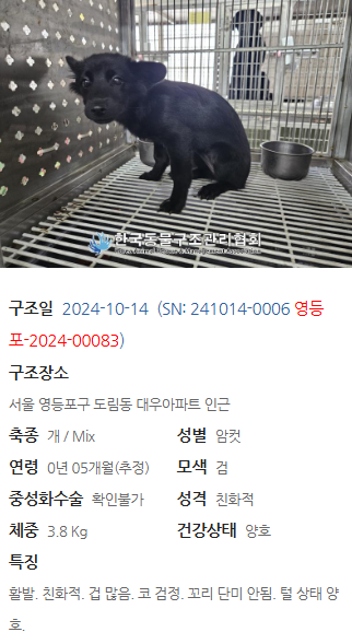 9e0cb5045251b.png