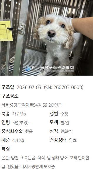 a49d447981e85.png