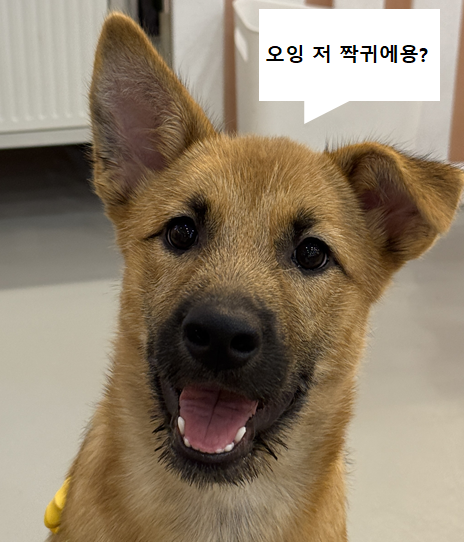 ba20516bb362f.png
