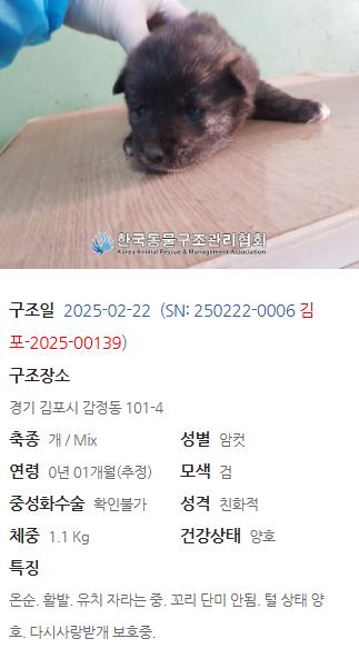 bd37562521d50.png