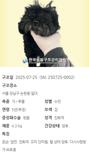 cb28993eb1833.png