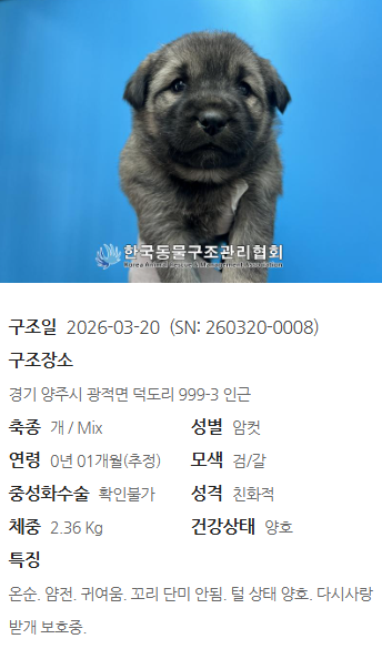 cb3f84050bd91.png