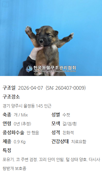d63a0708b7dc1.png