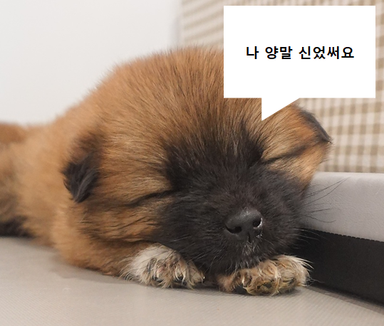 e9666d9289dc4.png