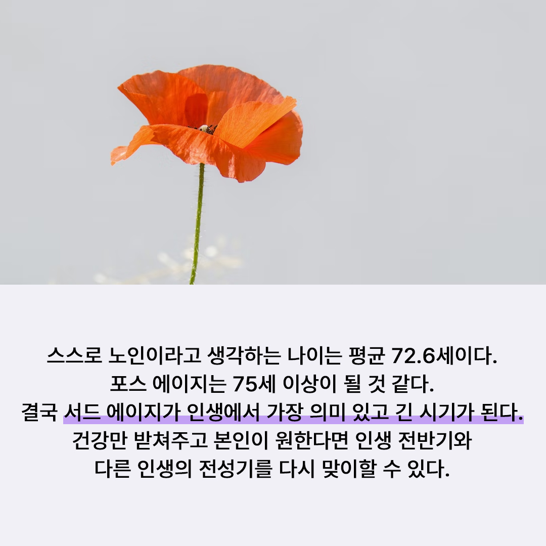 066b934a411cf.jpg