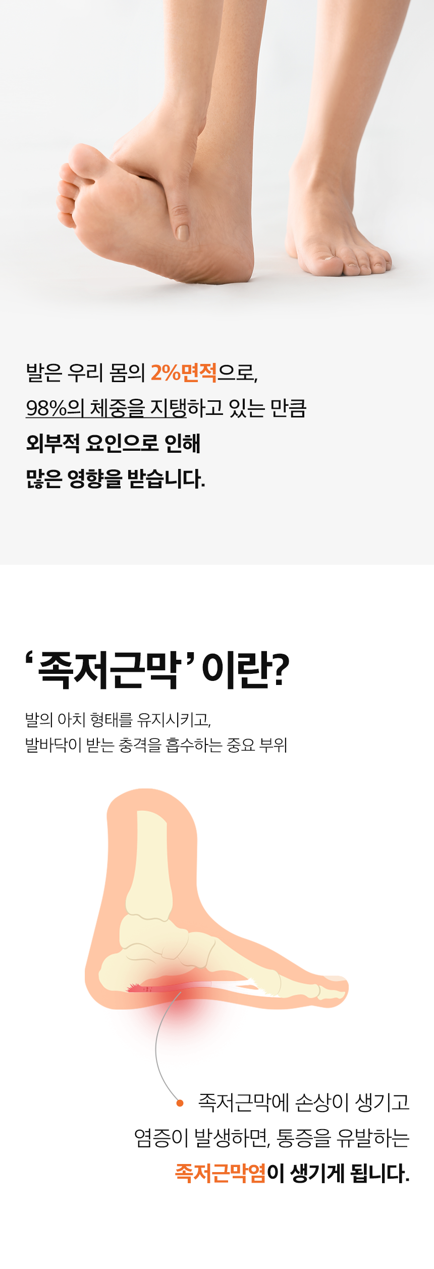 103b8b52ba562.png