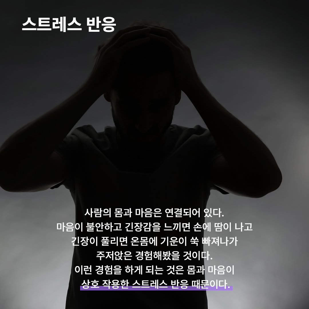235a8778663df.jpeg