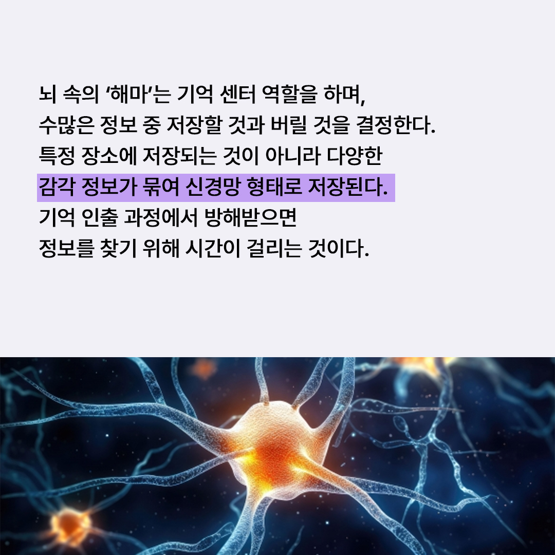297c9d0488484.jpg
