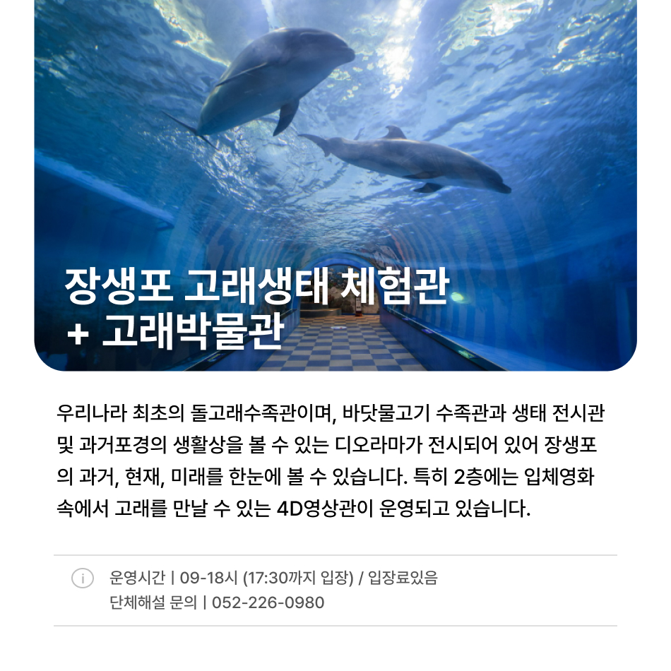 321f515991f56.png