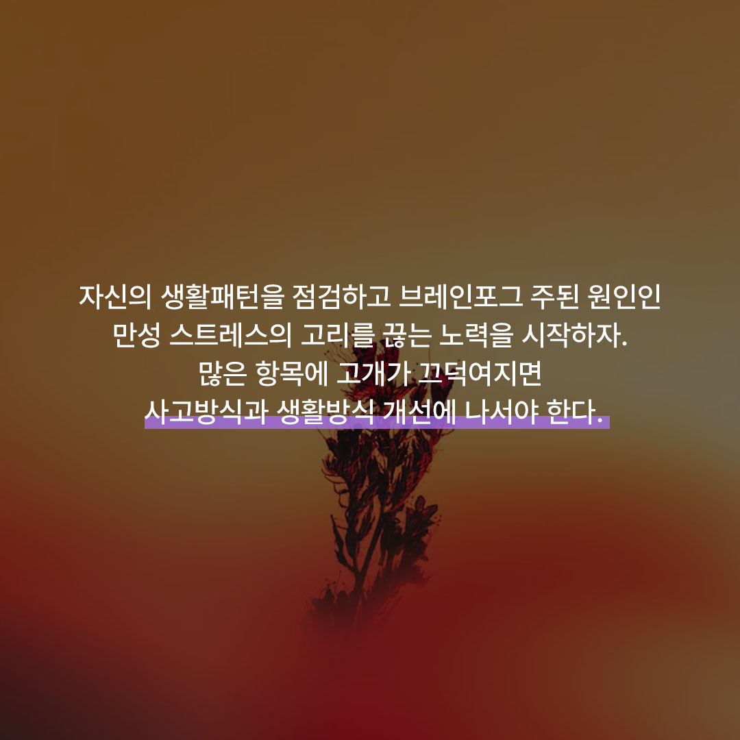 5bd970f2c146b.jpg