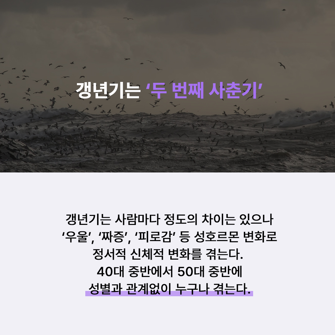 605060ed472ee.jpg
