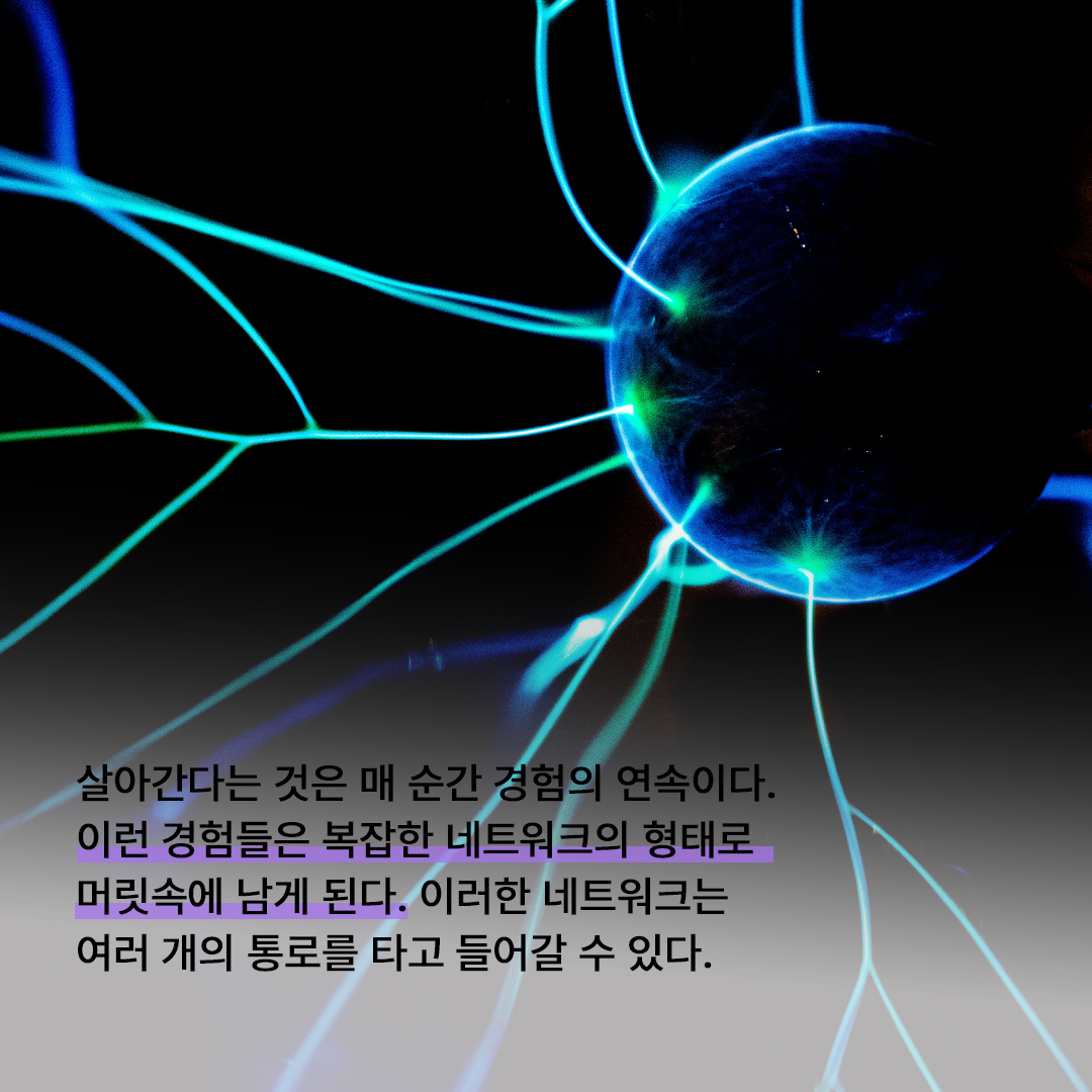 6b9d0daa259d4.jpg