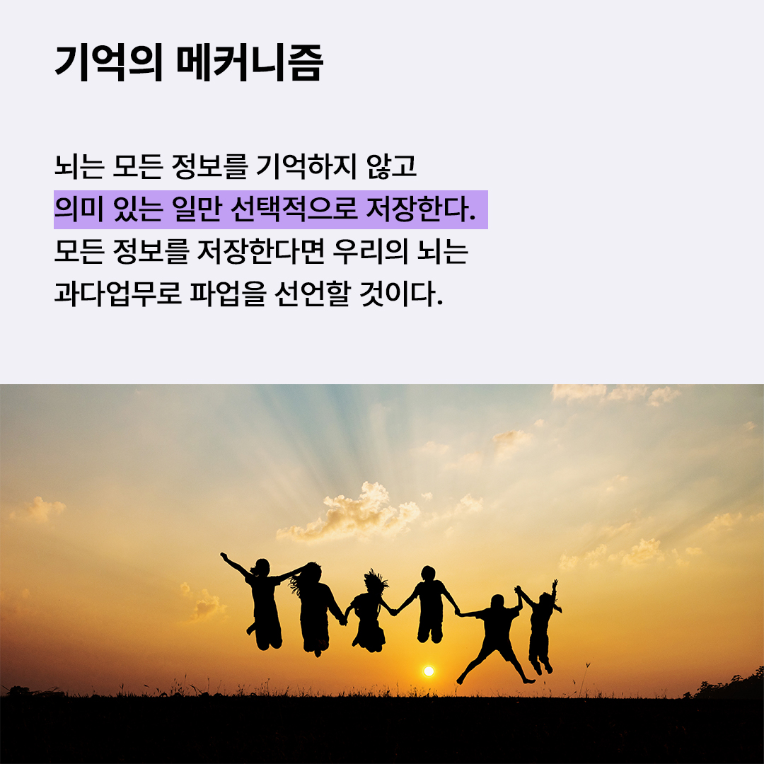 6dacbd58cf2a4.jpg