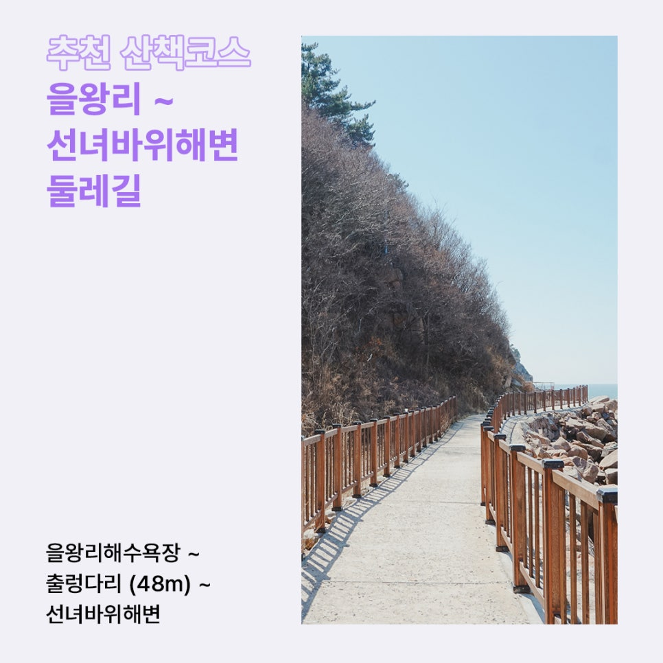 70ca248a4927c.png