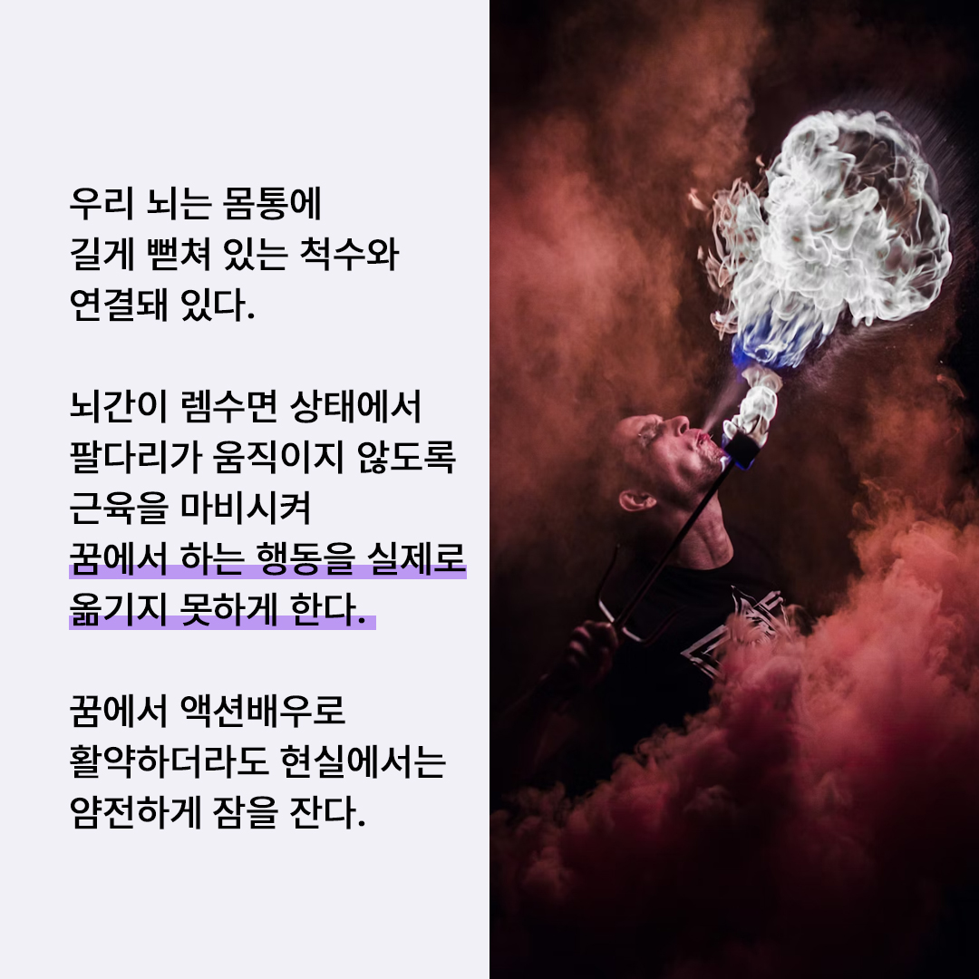 7ac84146d2943.jpg