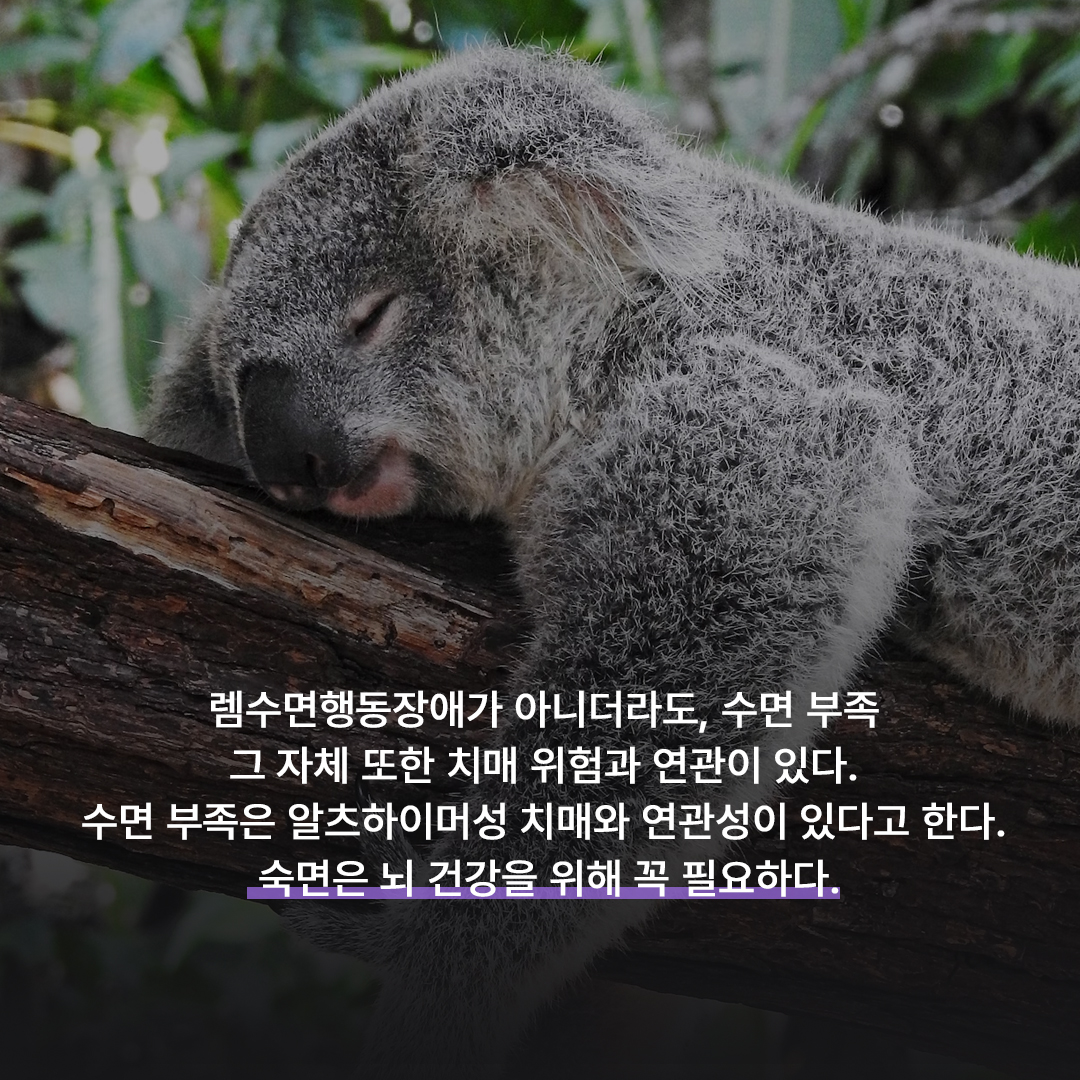 85f6e556d8f61.jpg