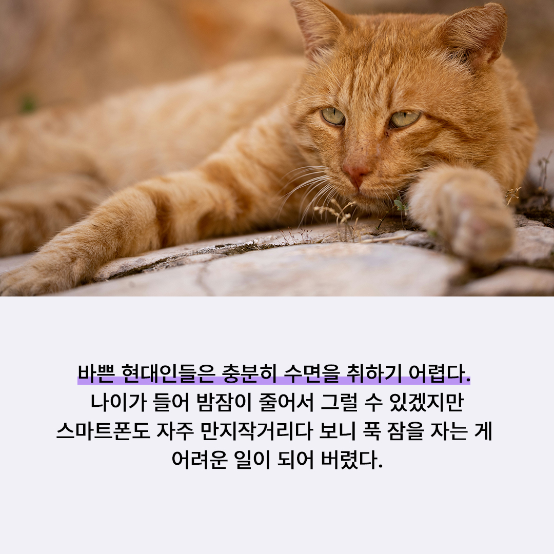 93b7556d55173.jpeg