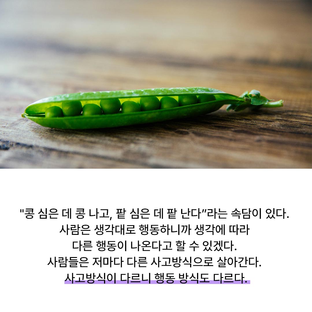 991f23cd26f8d.jpg
