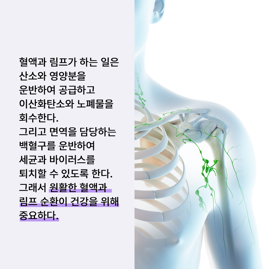 be4395f513429.jpg