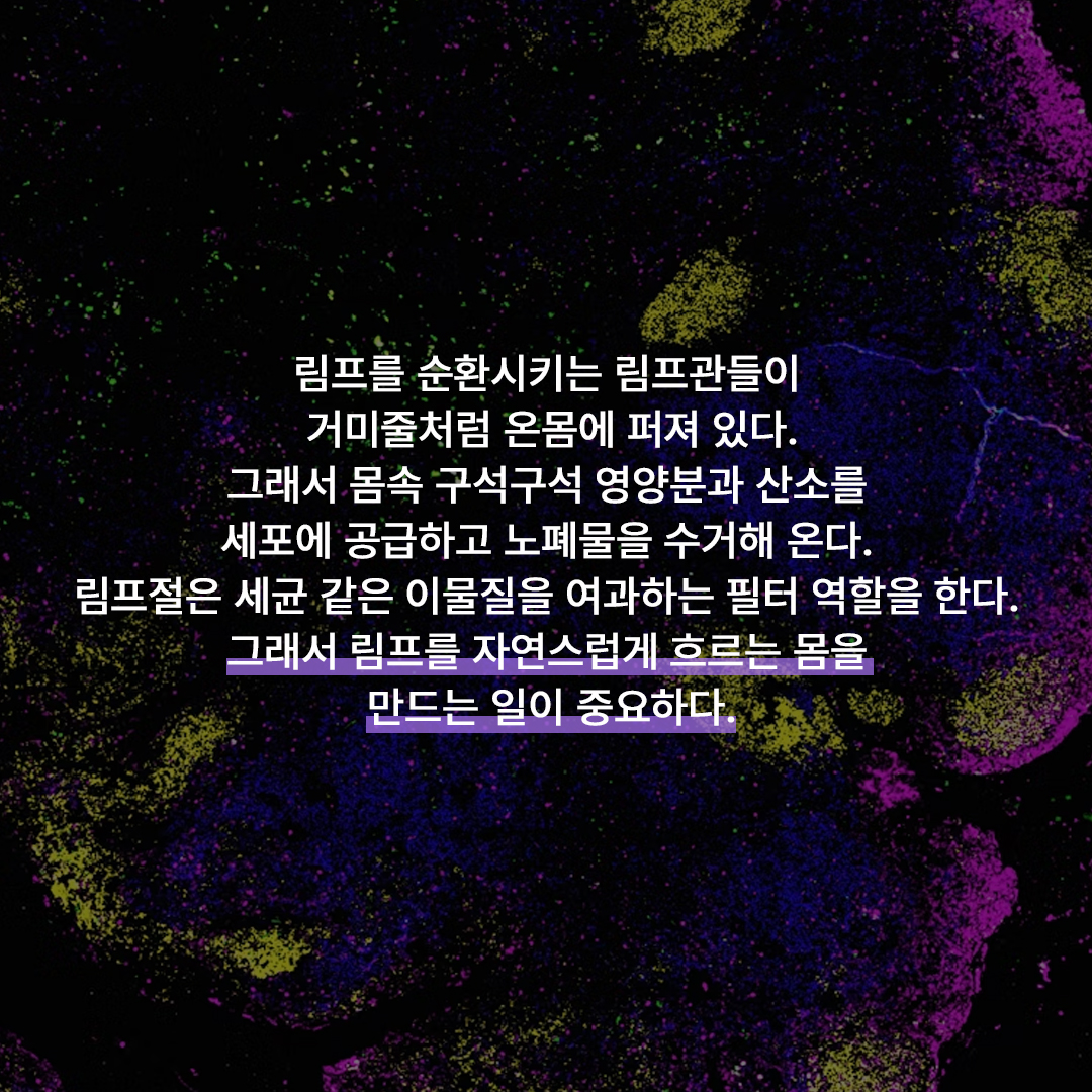 cd5cf7202e578.jpg