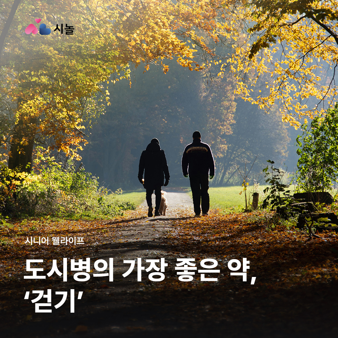 d42b1e512b980.png
