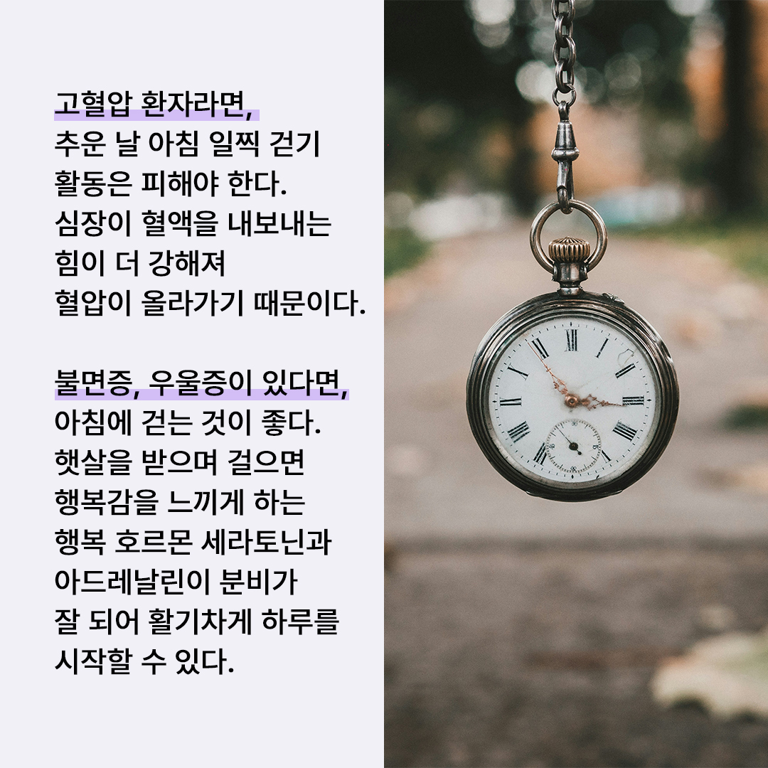 f7ee6c67e324a.jpg