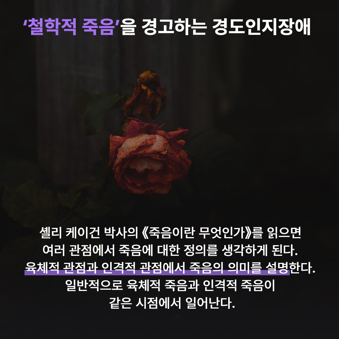 fa560e9fe7b45.jpg