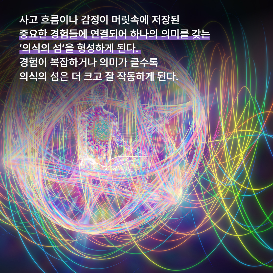 fae6a3d954028.jpg