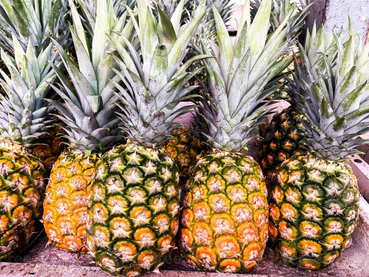 '파냐텍스', 필리핀을 지속가능 패션의 중심으로