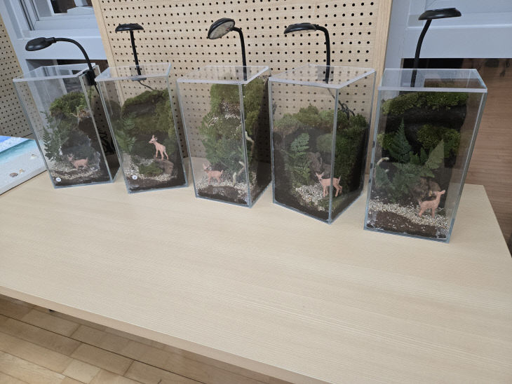 강클라우뎃 2