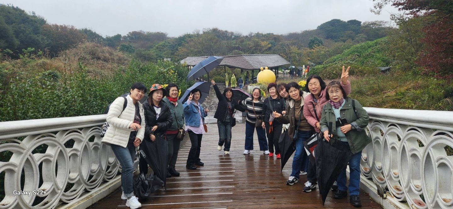 47ffd74a29262.jpg