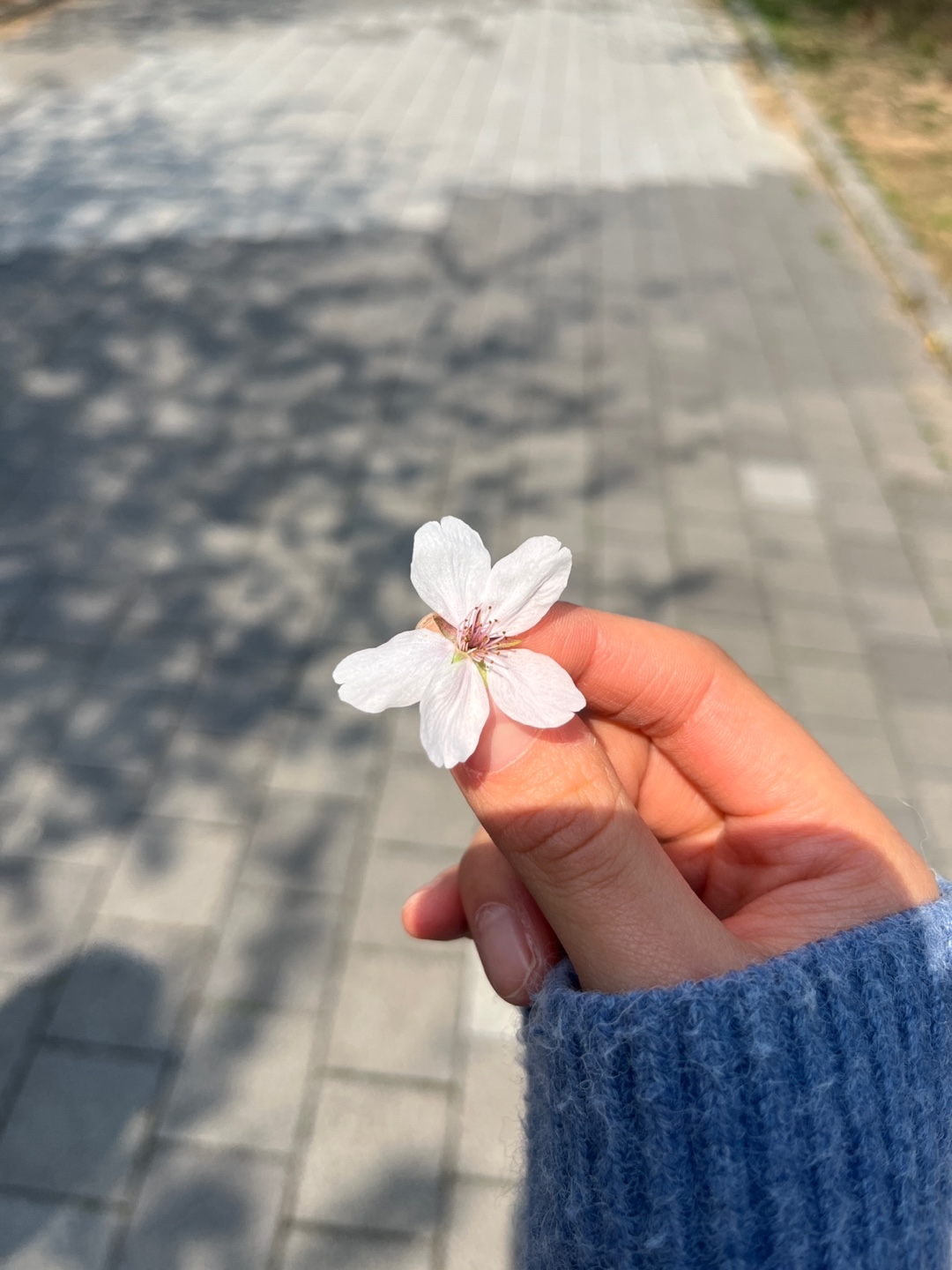 149c6b03f07df.jpg