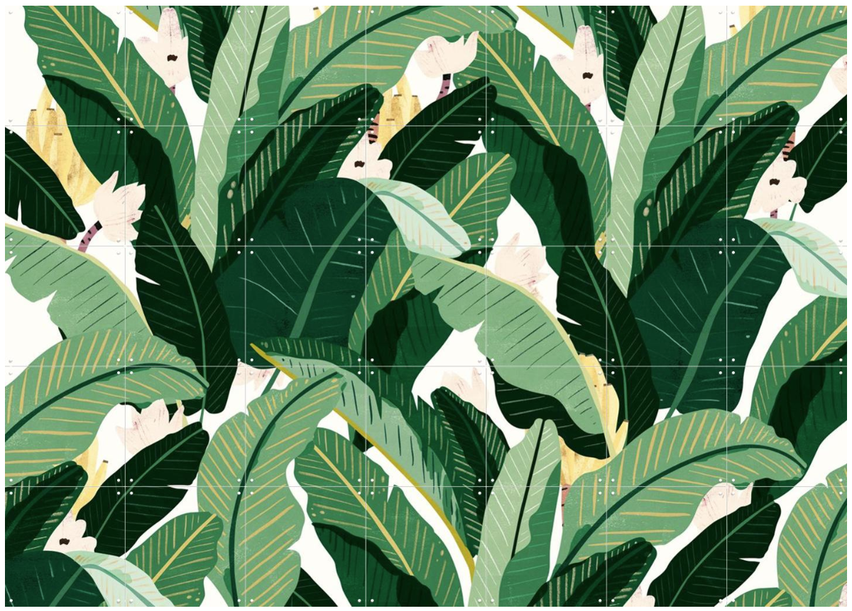 [개인결제창] Banana Leaf - Neutral White 140*100