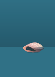 adfedb871b7c1.png