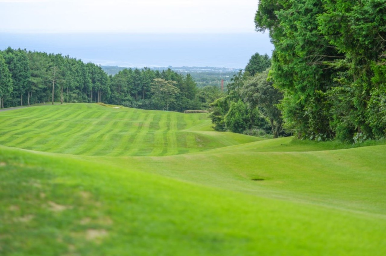 ⛳ 26년 10월 최강 가심비 제주골프 2박 3일