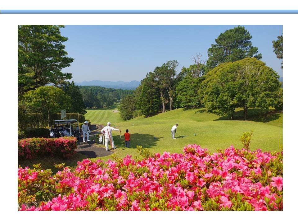 ⛳️가고시마 카모 골프 & 시내 호텔 💕<3박/4박>