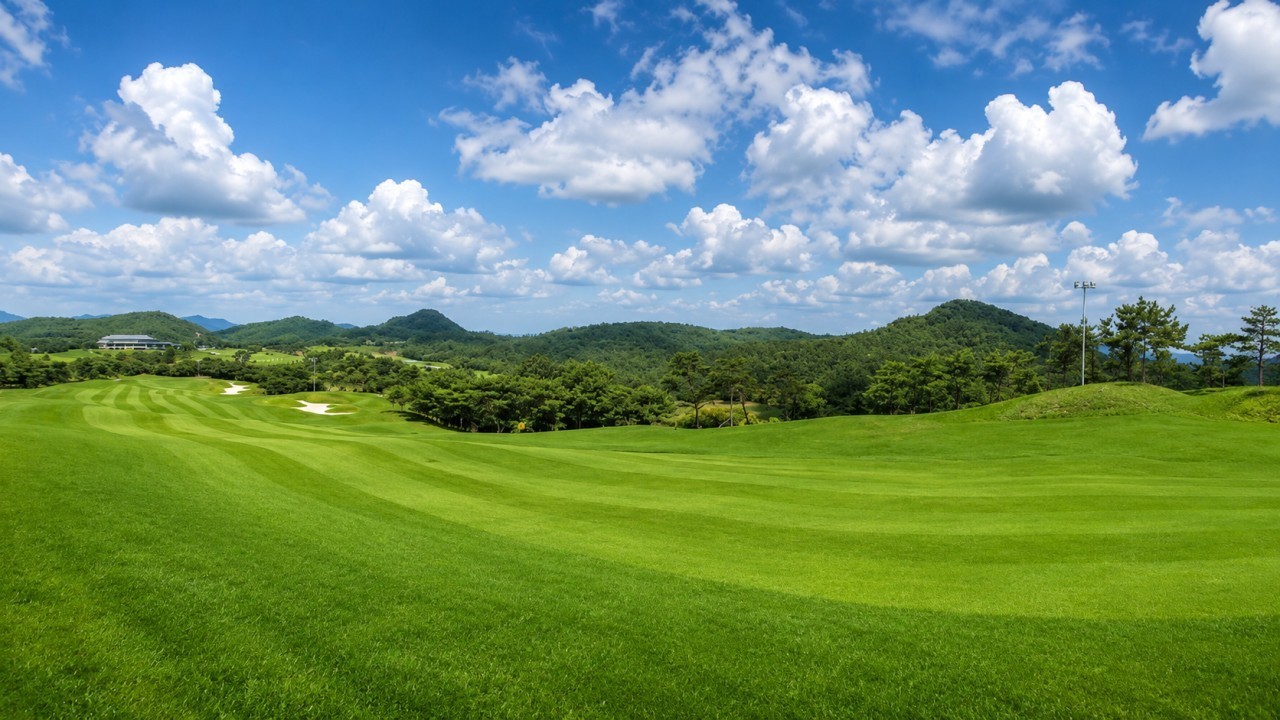 ⛳ 함평 엘리체 컨트리클럽 2박3일 54홀 초특가