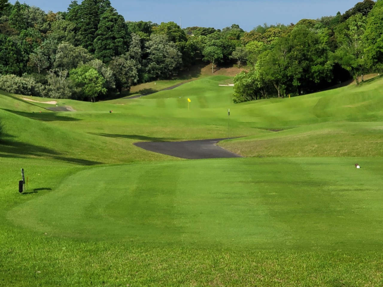 ⛳️ 골프에 美치다! 동경 이타코 8월 초특가 올포함