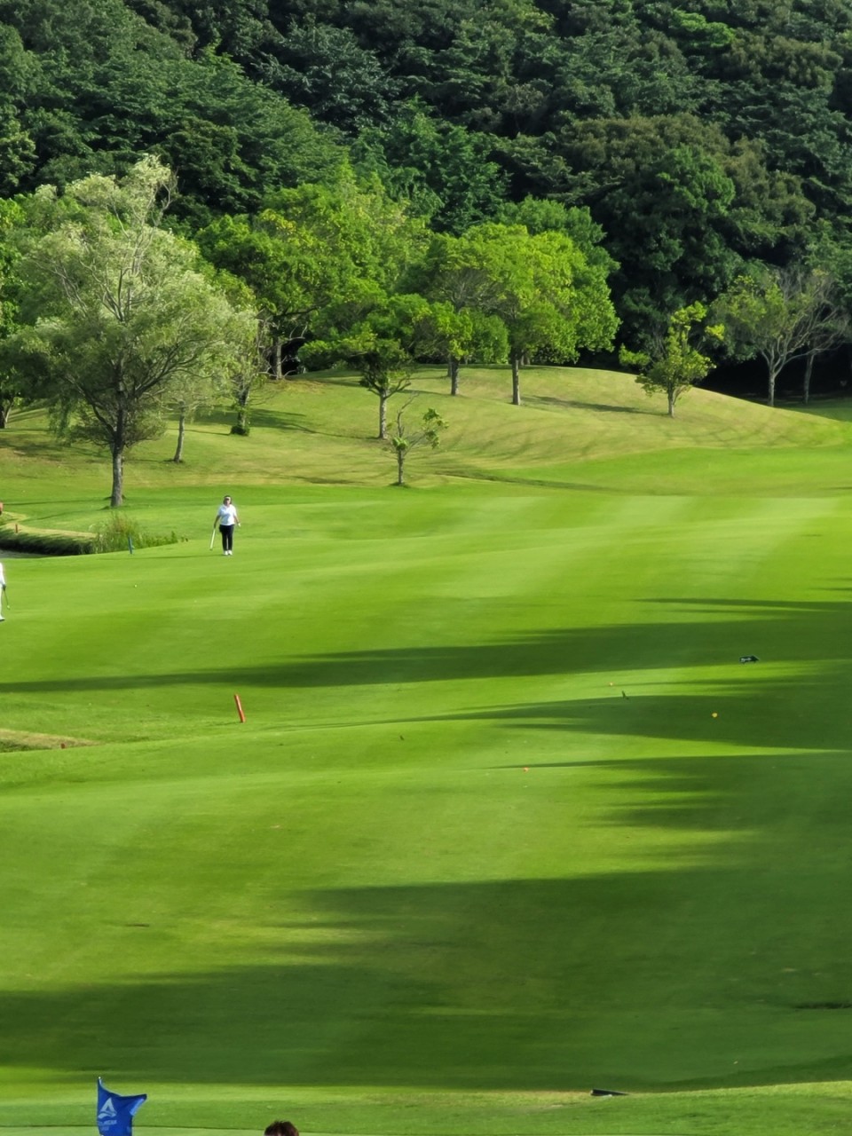 ⛳️ 골프에 美치다! 동경 이타코 8월 초특가 올포함