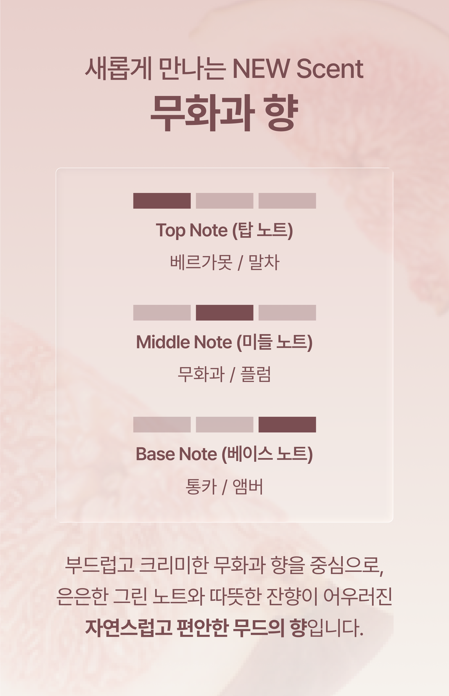 [신상] 유아른 비건 드라이 샴푸 앰플 15ml (무화과 향)
