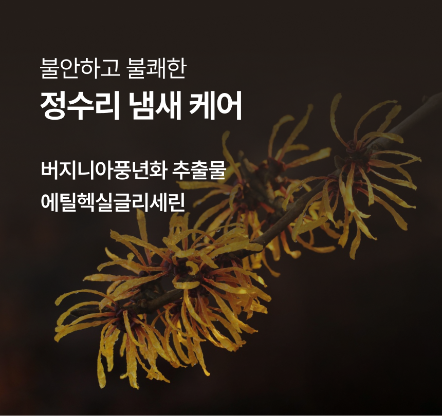 [더블 기획] 유아른 비건 드라이 샴푸 앰플 40ml