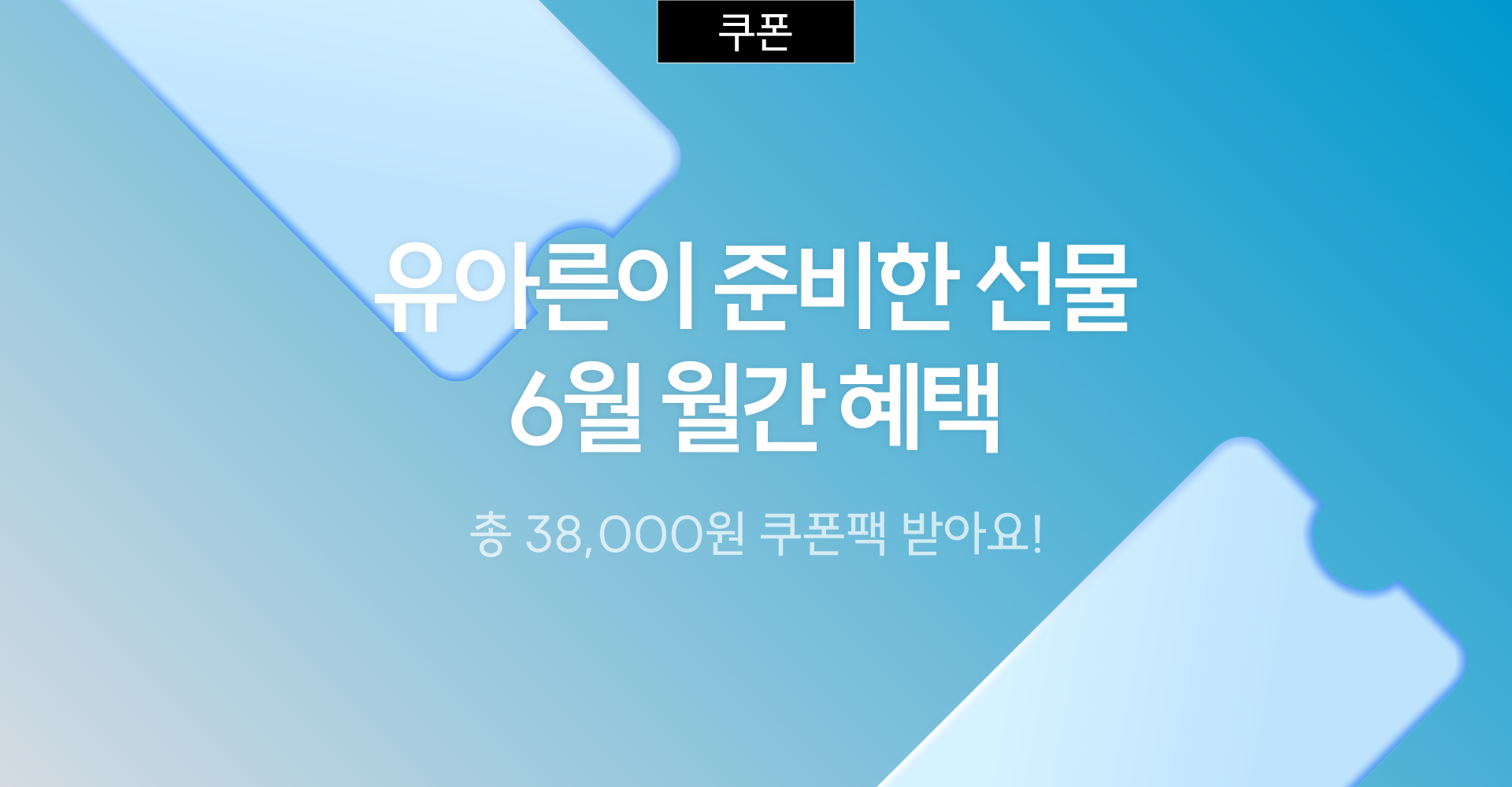 1 월간 쿠폰팩