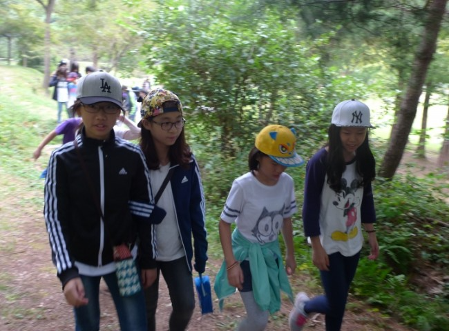 964d9bf018028.png