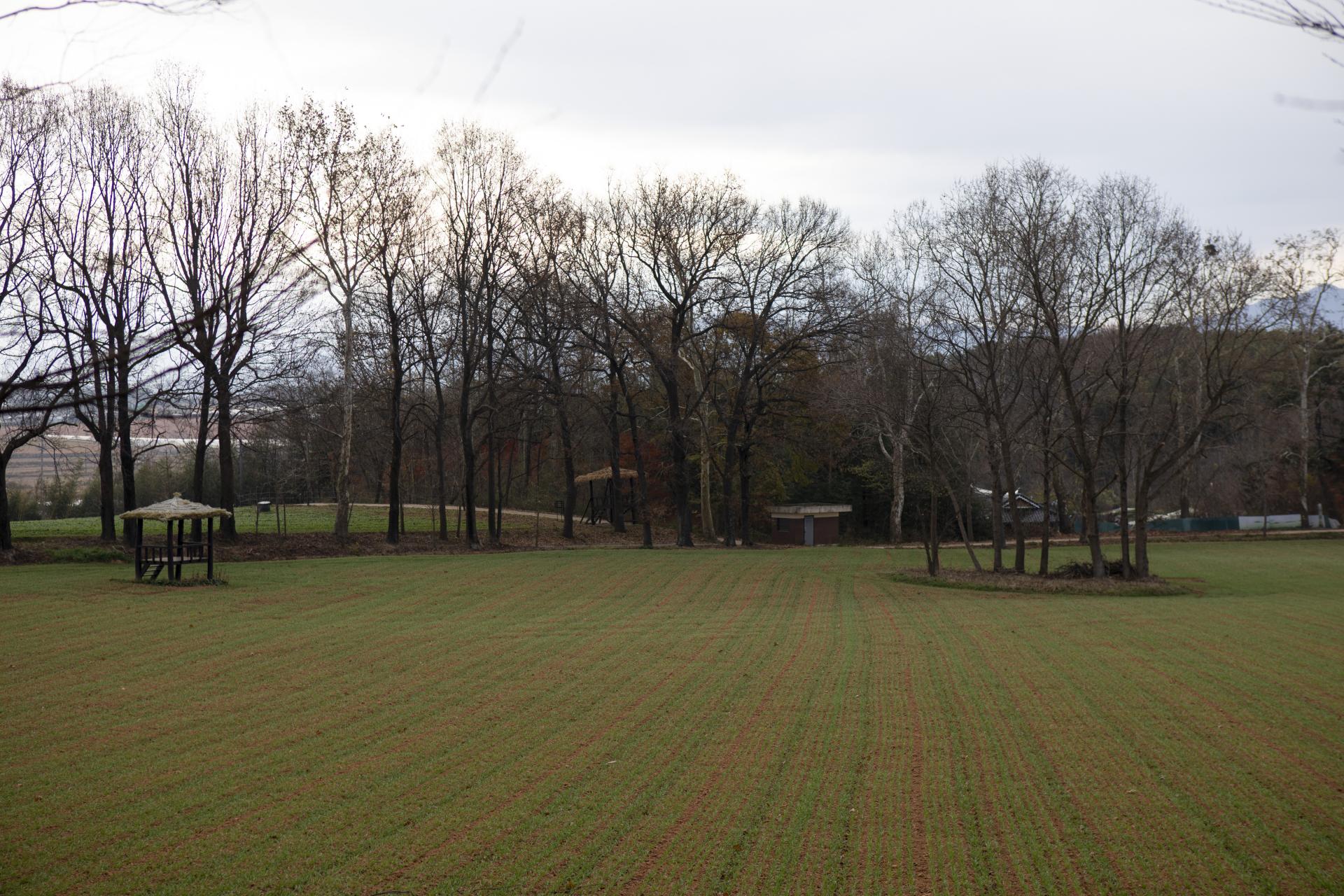 5d8327e1fa70f.jpg