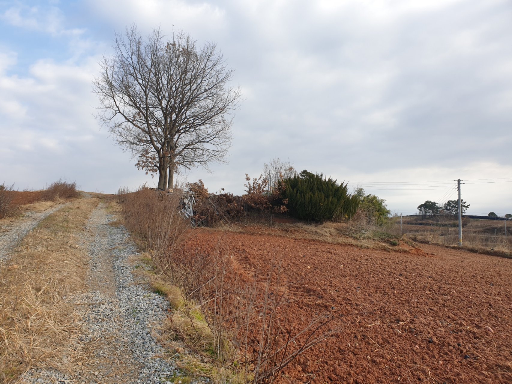 b48a06627144f.jpg
