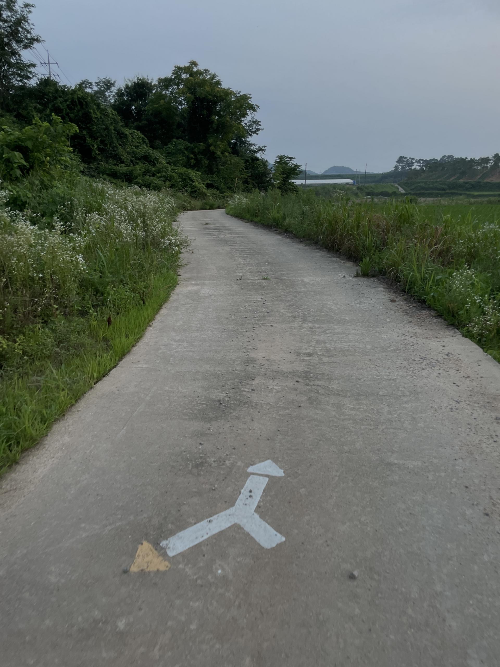 d12146f4a34ee.jpeg