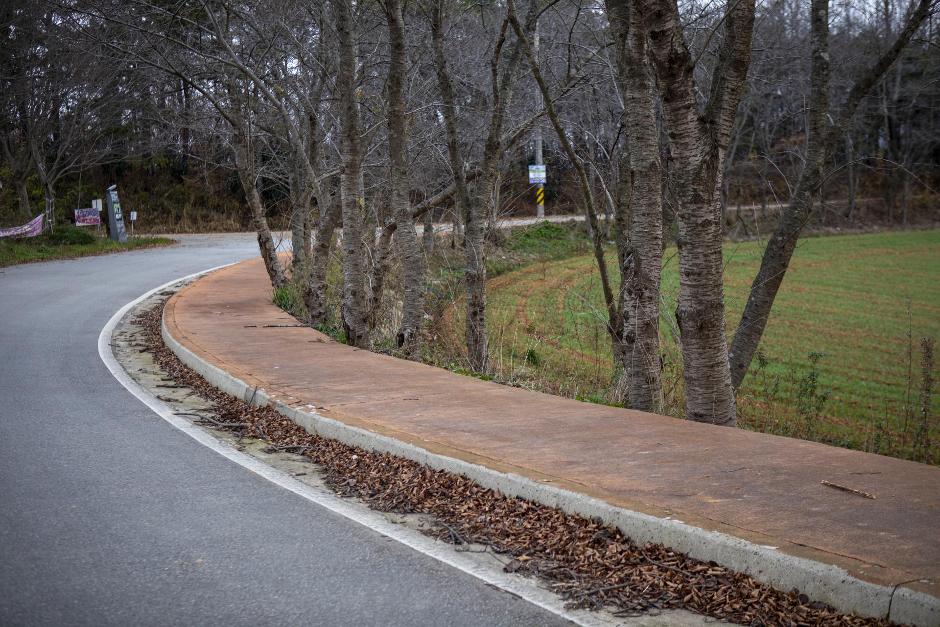 d3628e3c8eb9a.jpg
