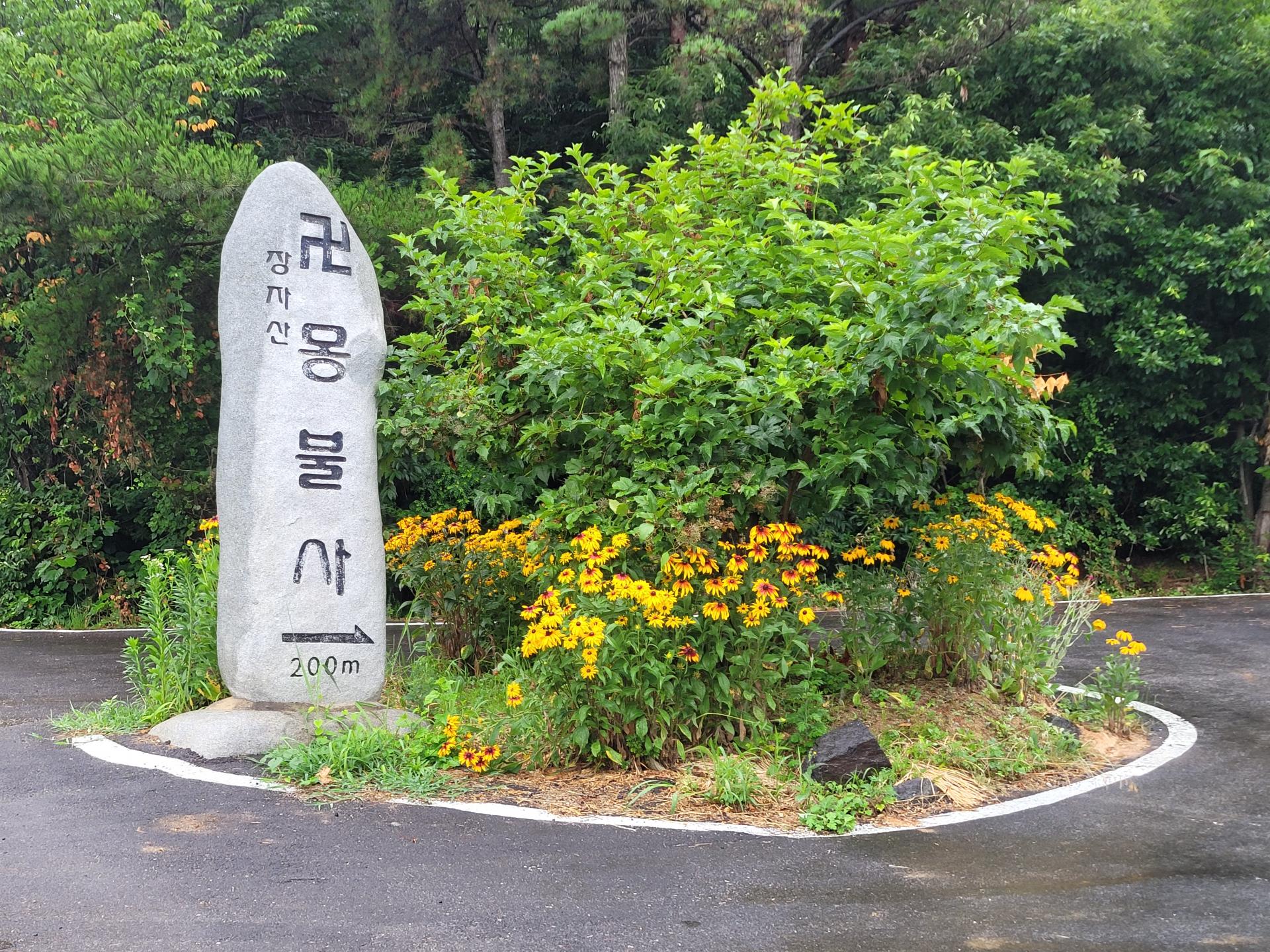 f4bbe9ca09800.jpg